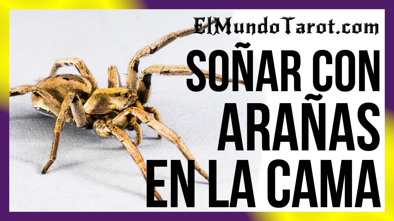 arañas en la cama significado