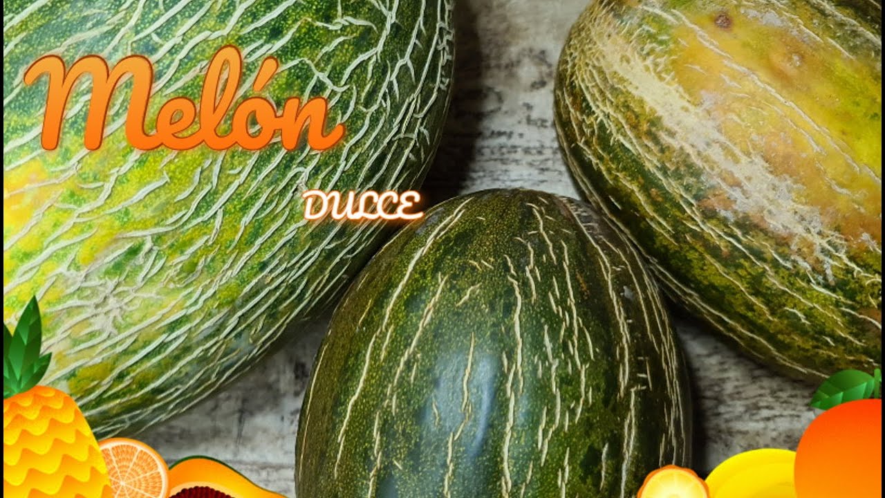 como escoger un buen melon