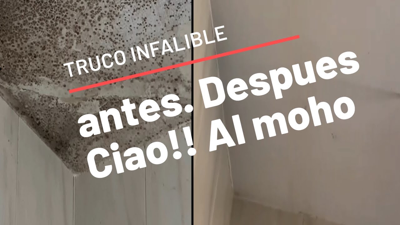 como limpiar humedad del techo