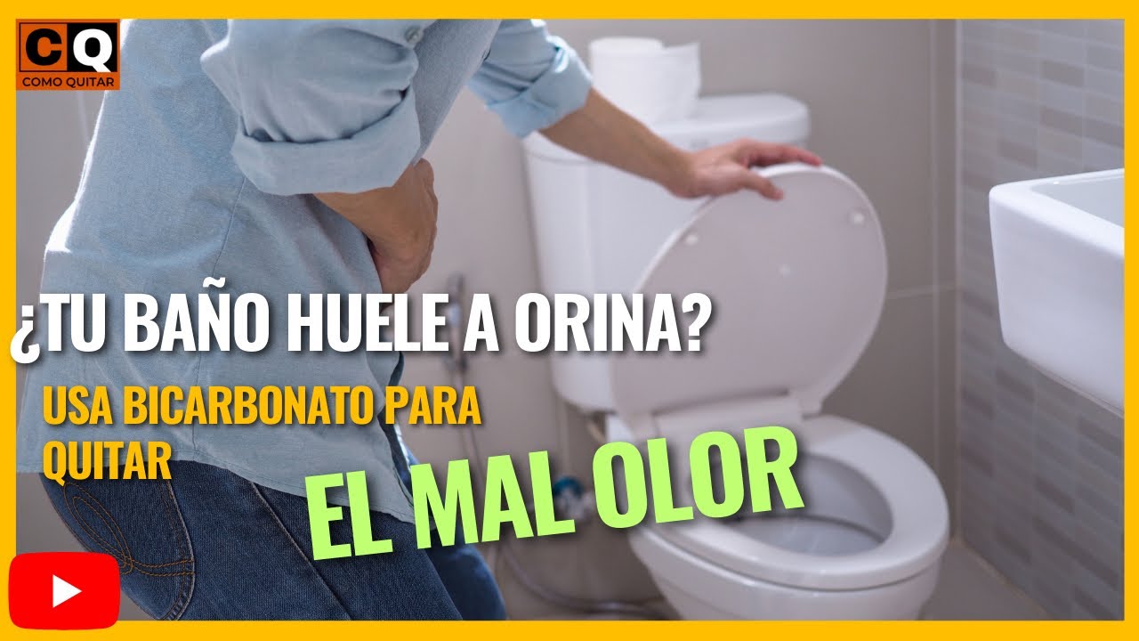 eliminar mal olor wc