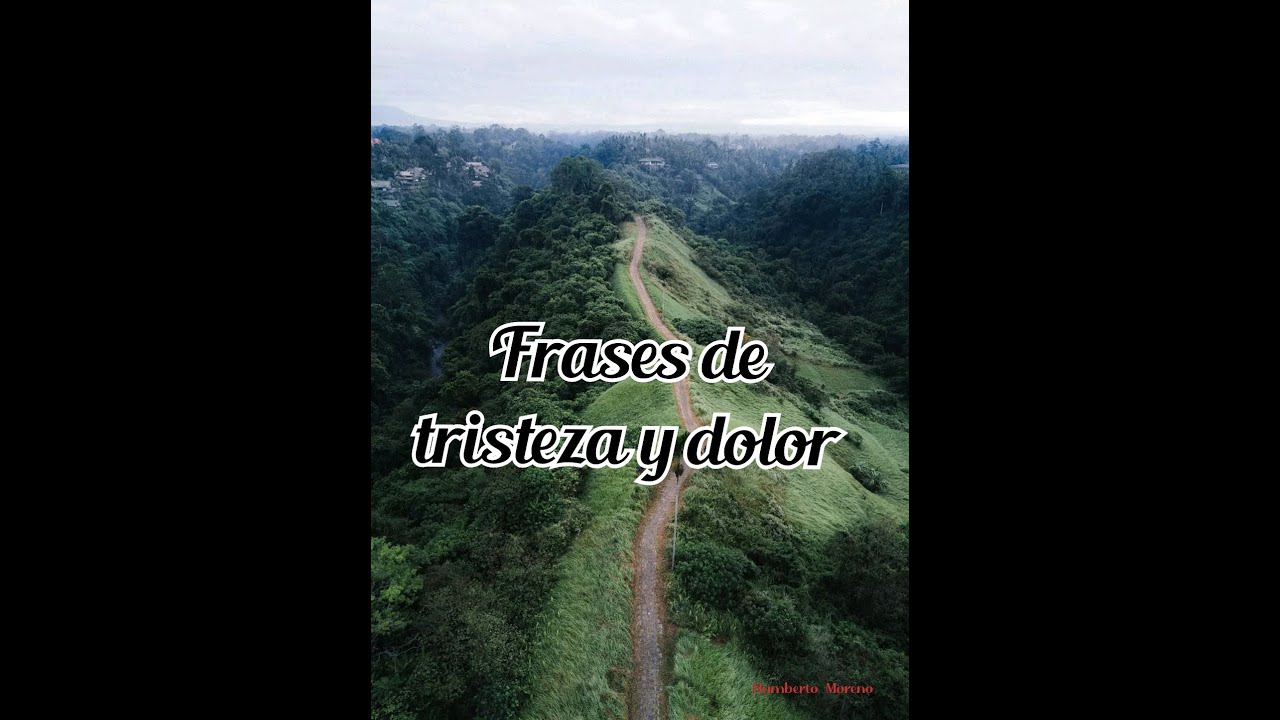frase de tristeza y dolor