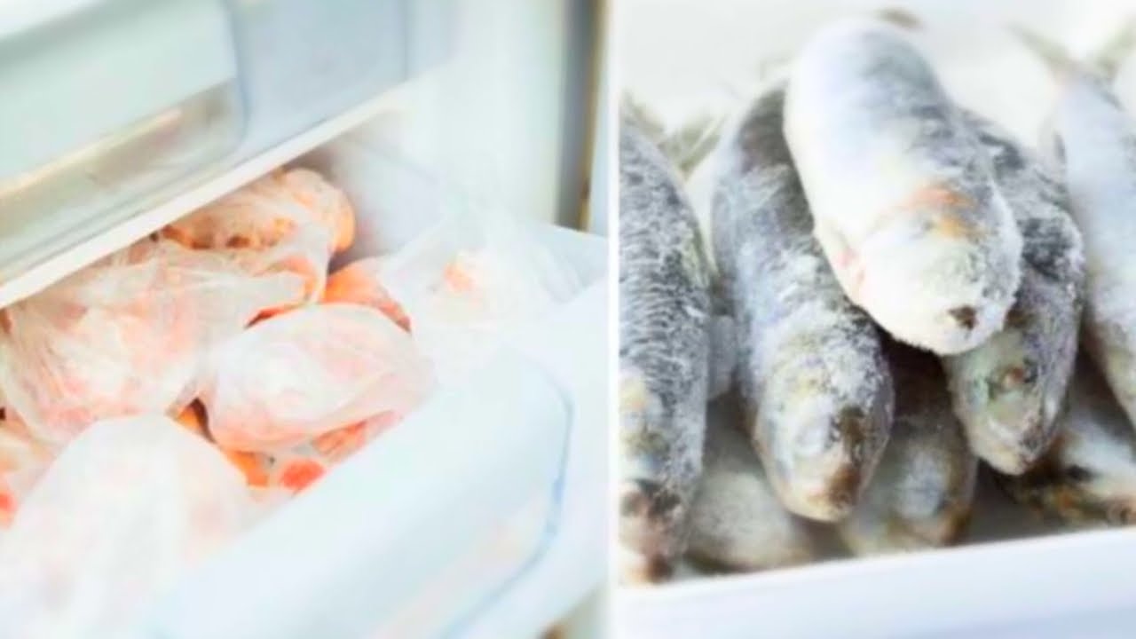 hay que lavar el pescado antes de congelarlo