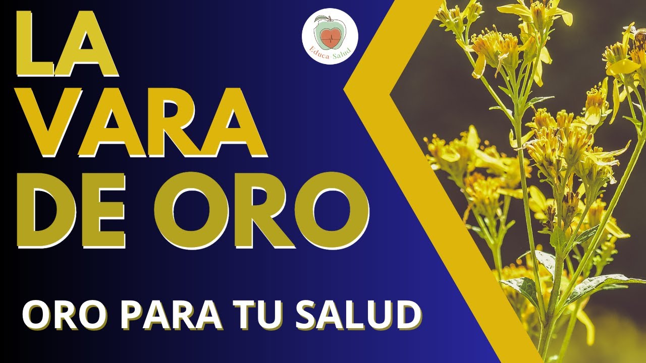 propiedades vara de oro