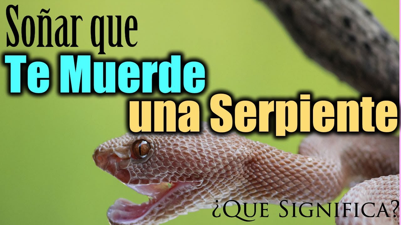 que significa soñar que te muerde una serpiente