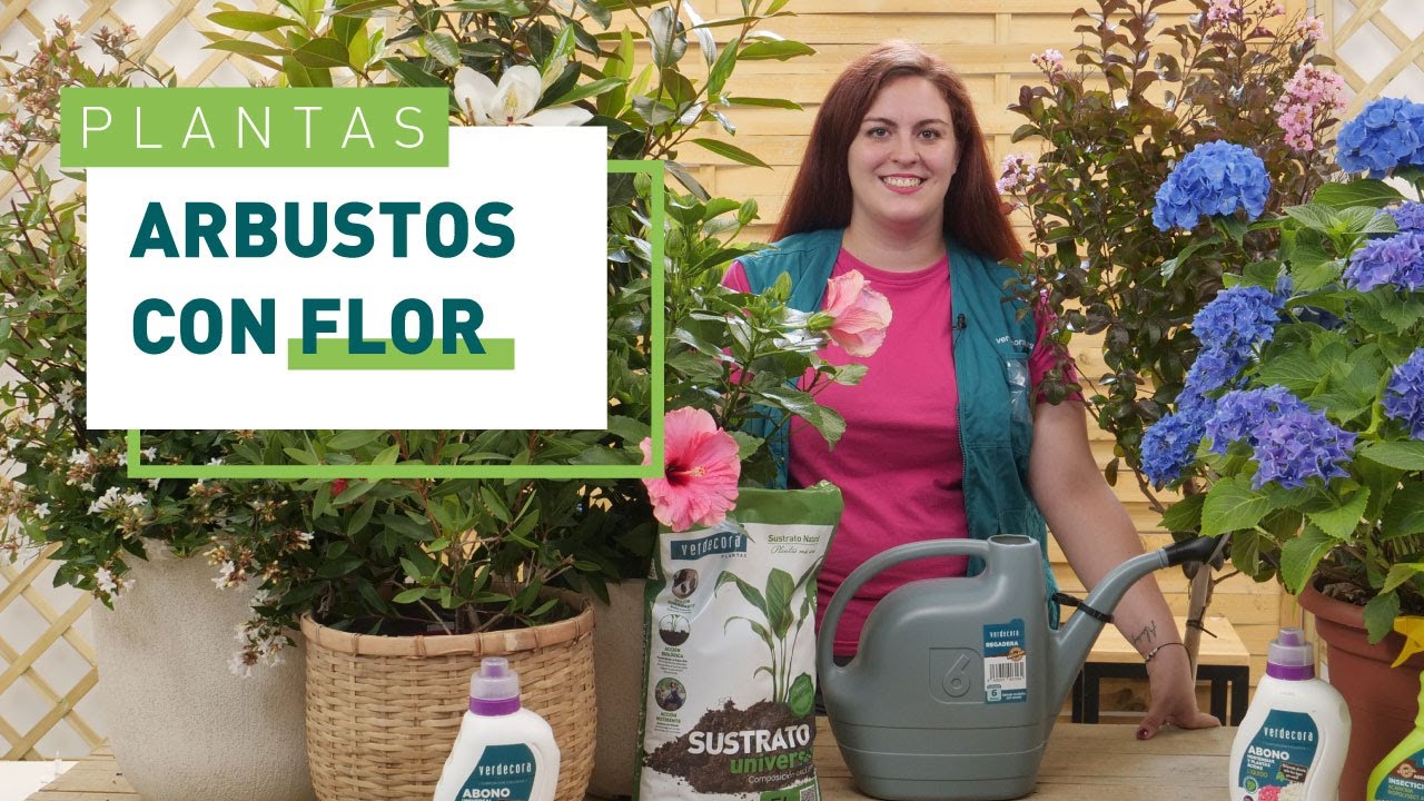 arbustos resistentes al sol y heladas