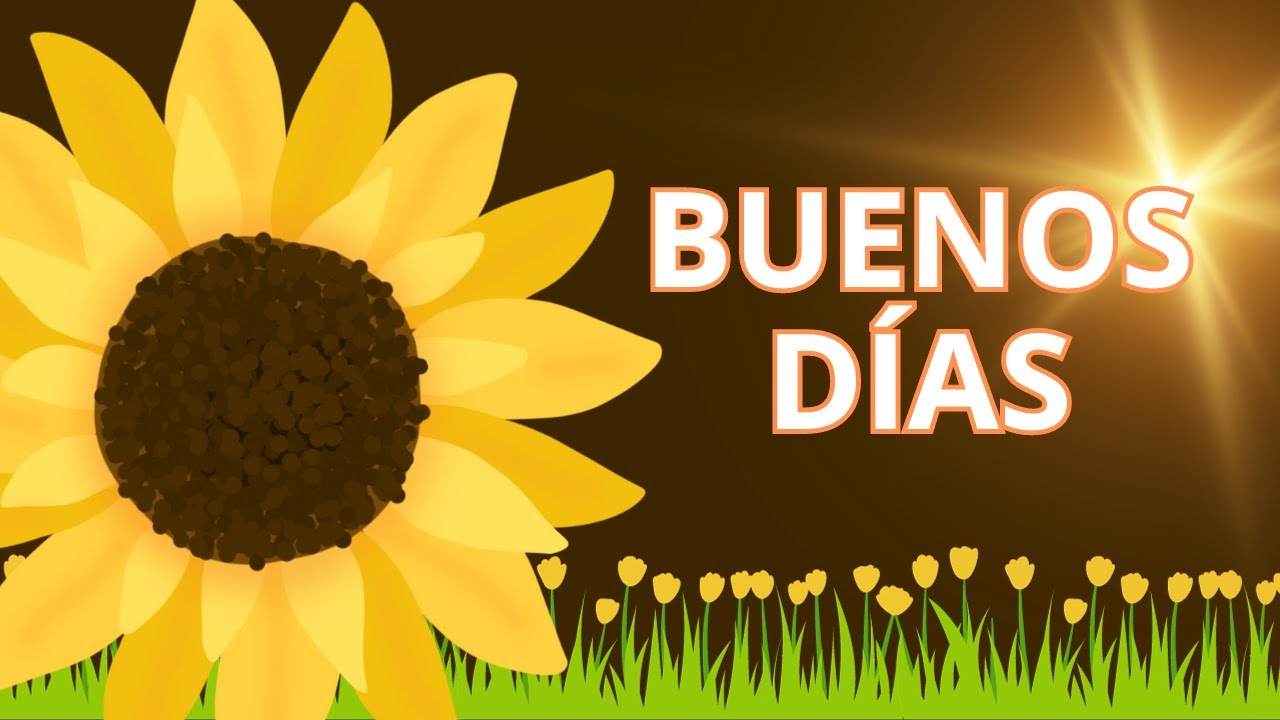 buenos dias con girasoles y cafe