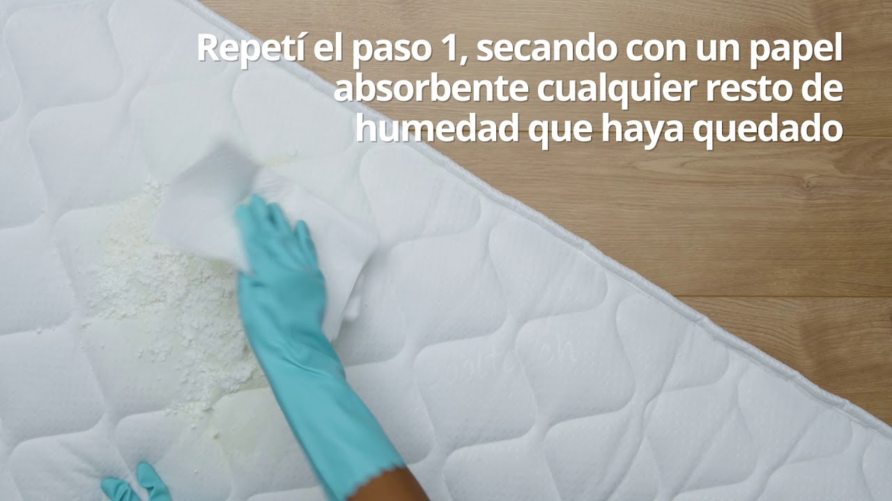 como limpiar un colchon de orina de perro