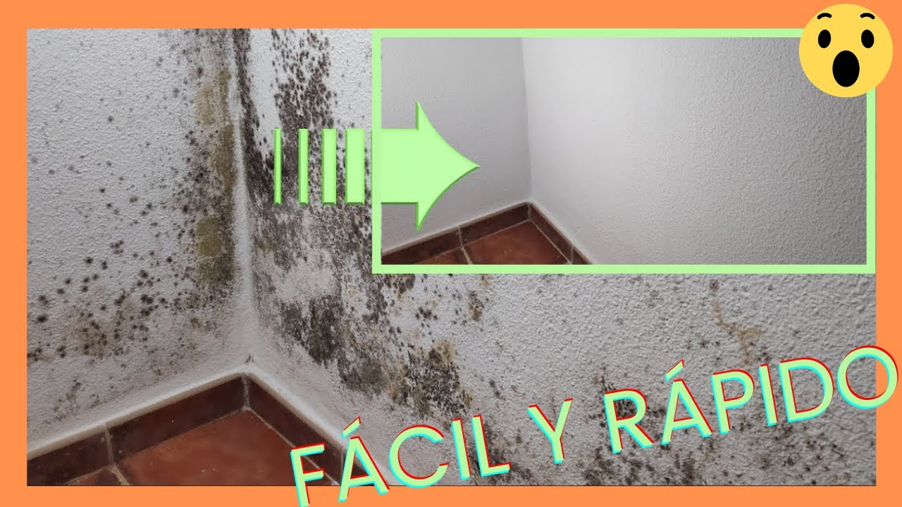 como sacar manchas negras de humedad de la pared