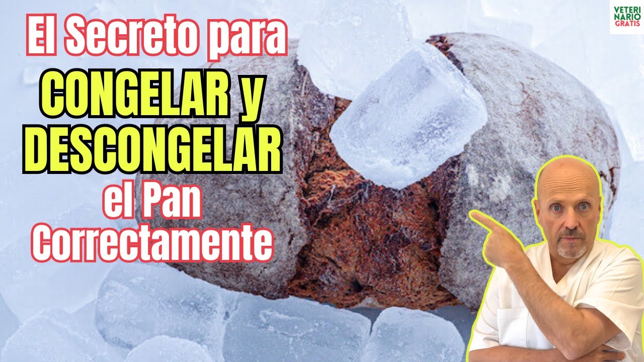 congelar el pan