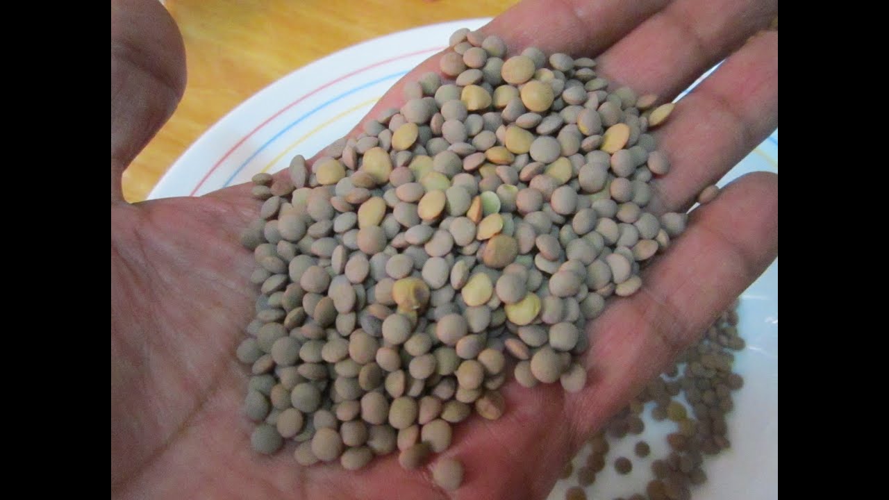 cuantos puñados de lentejas por persona