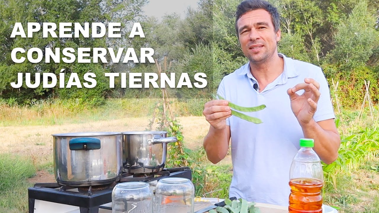 envasar judias verdes cocidas