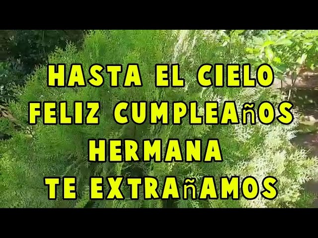 feliz cumpleaños hermana hasta el cielo