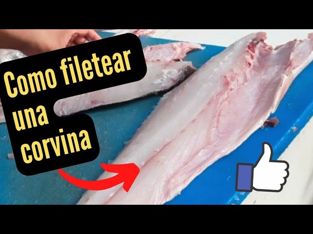 filetes de corvina