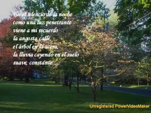 frases de noche de lluvia