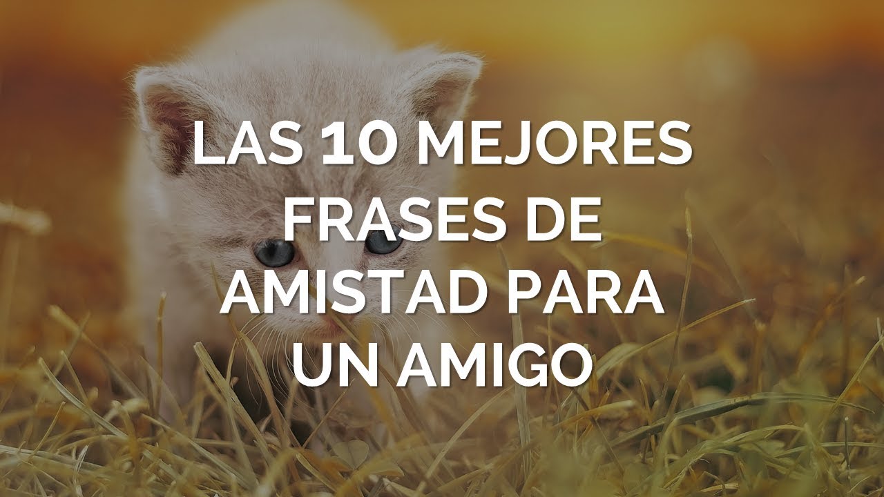 frases del dia de la amistad