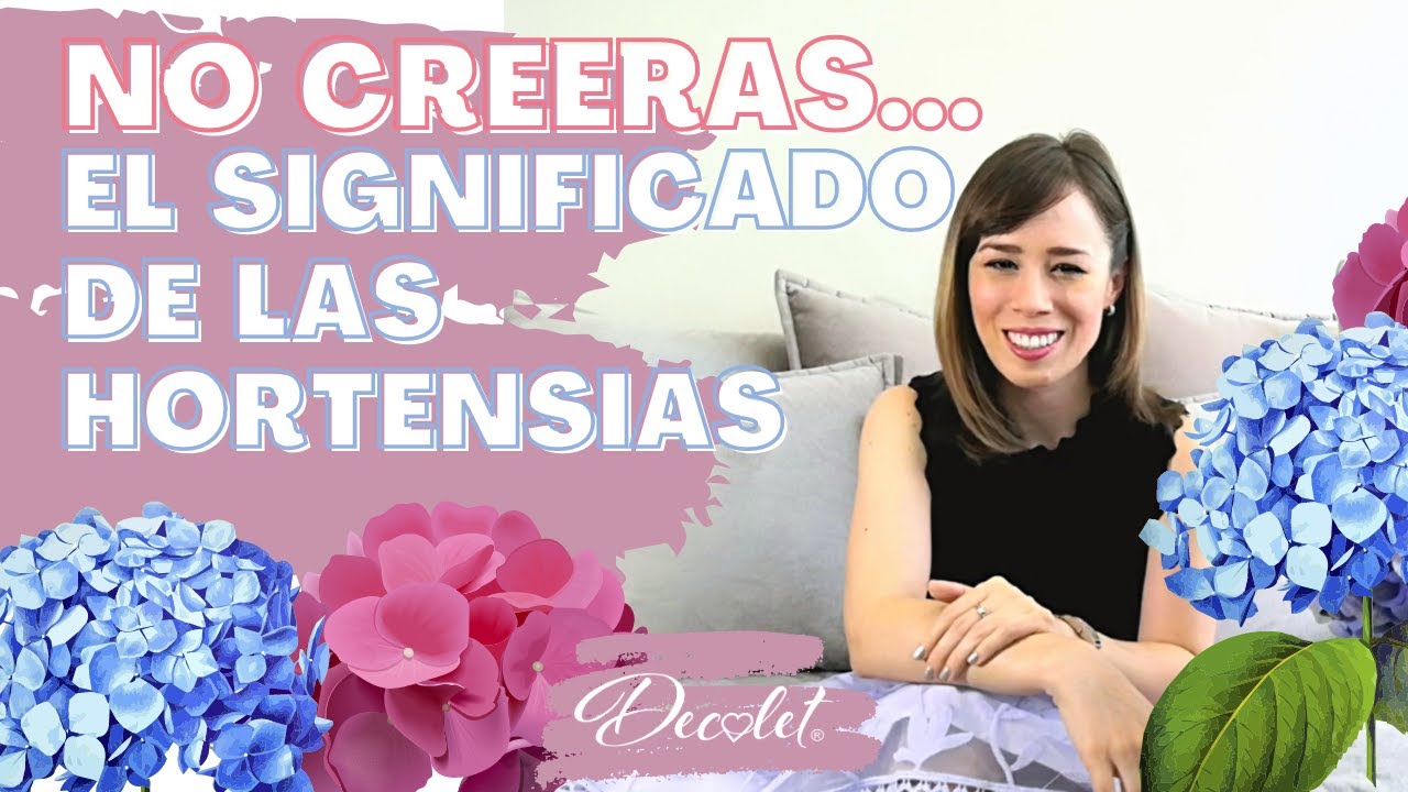 hortensias en casa mala suerte