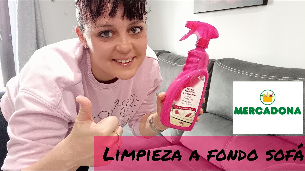 limpia tapicerías sofá
