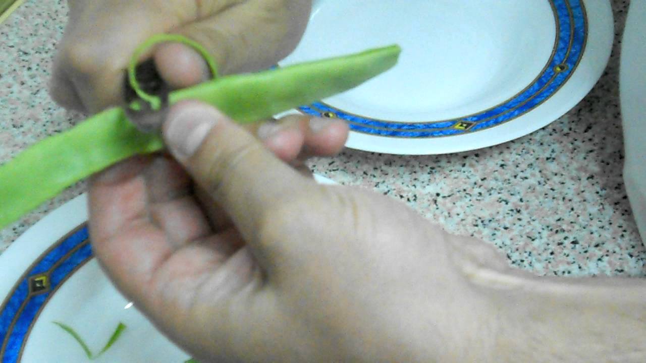 limpiar judias verdes