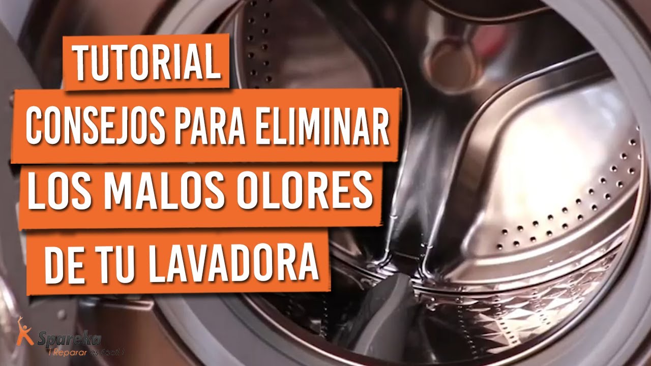 limpiar lavadora huele mal