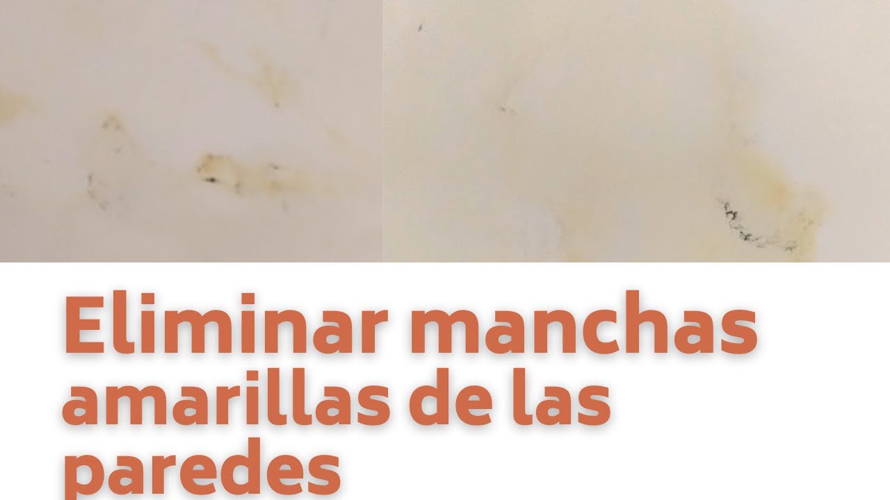 manchas amarillas en la pared