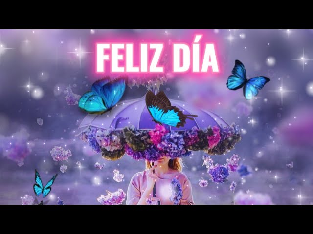 mariposa feliz frases