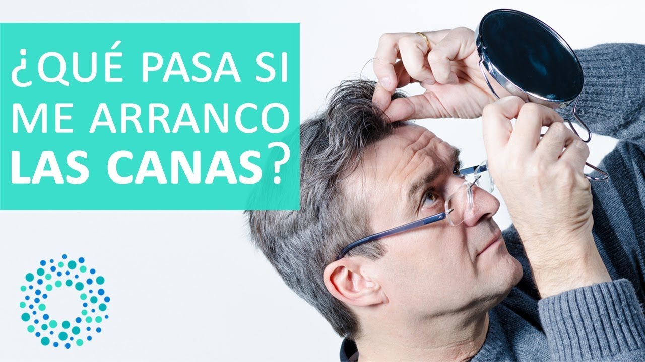 que pasa si arrancas una cana