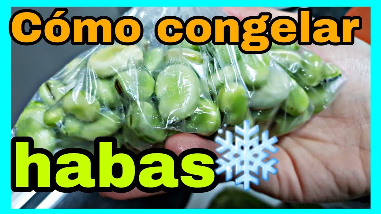 se pueden congelar las habas cocidas