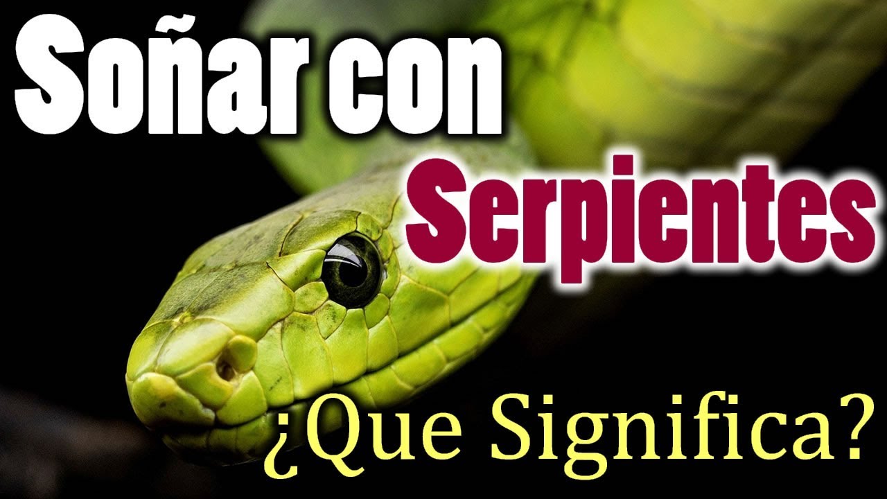 sonar con serpiente