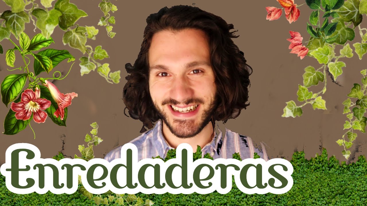 trepadoras perennes con flor
