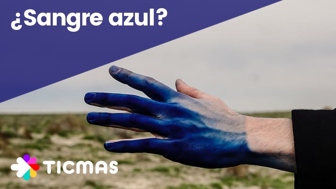venas muy azules en las manos