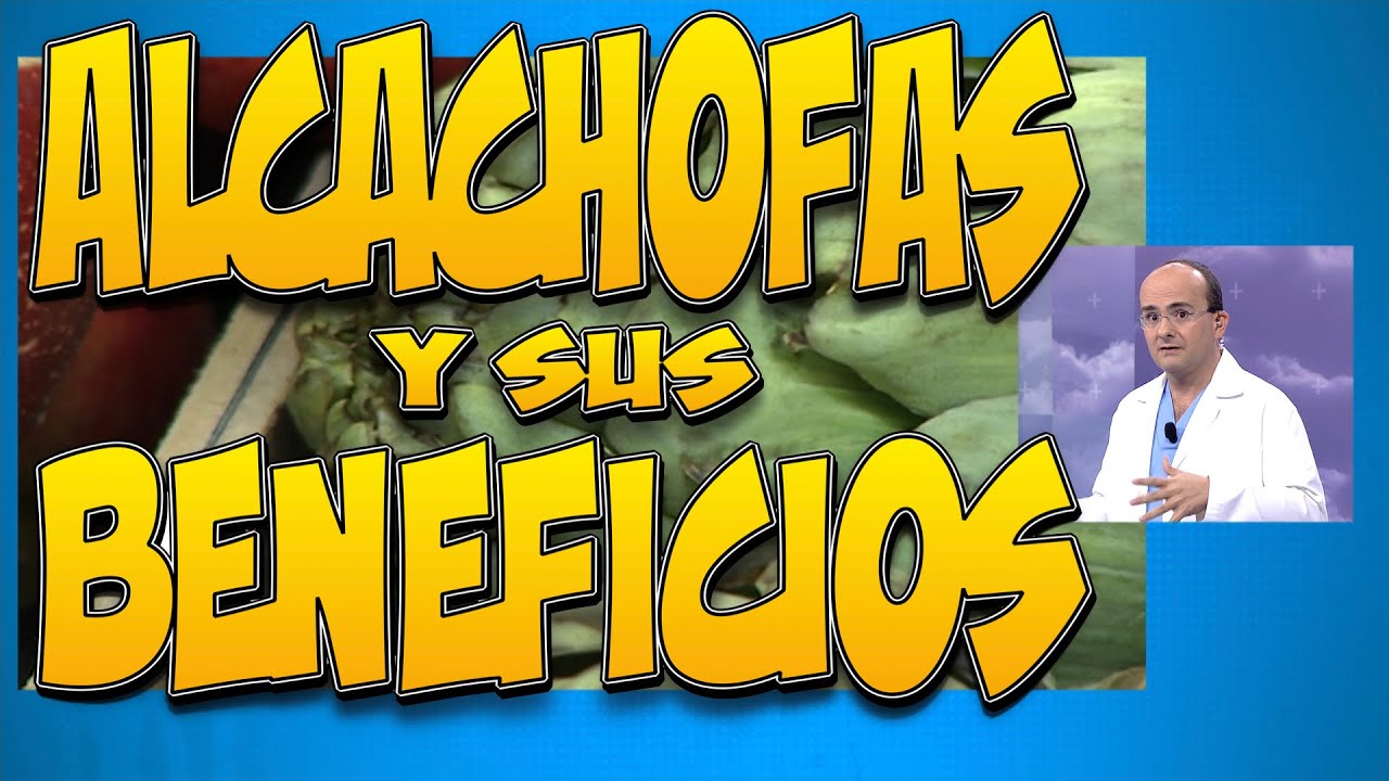 alcachofas en conserva propiedades