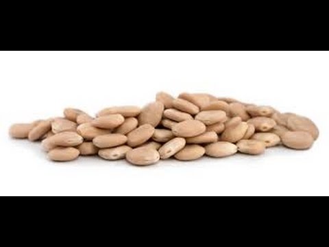altramuces crudos