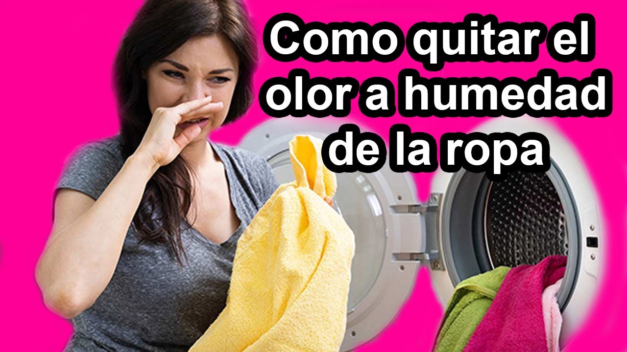 como quitar el olor a humedad