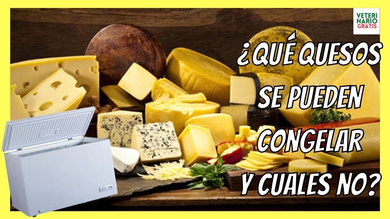 congelar queso