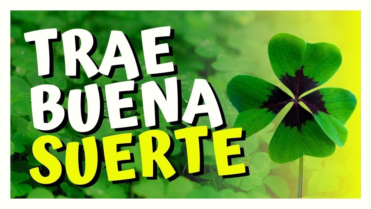 cual es el trebol que da suerte