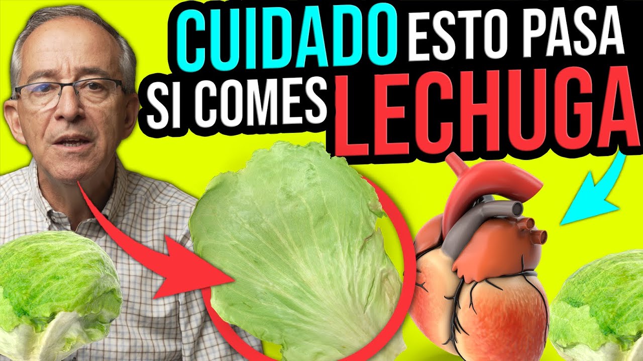 es buena la lechuga por la noche