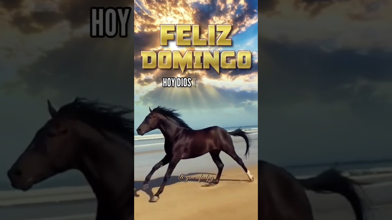 feliz descanso gracioso