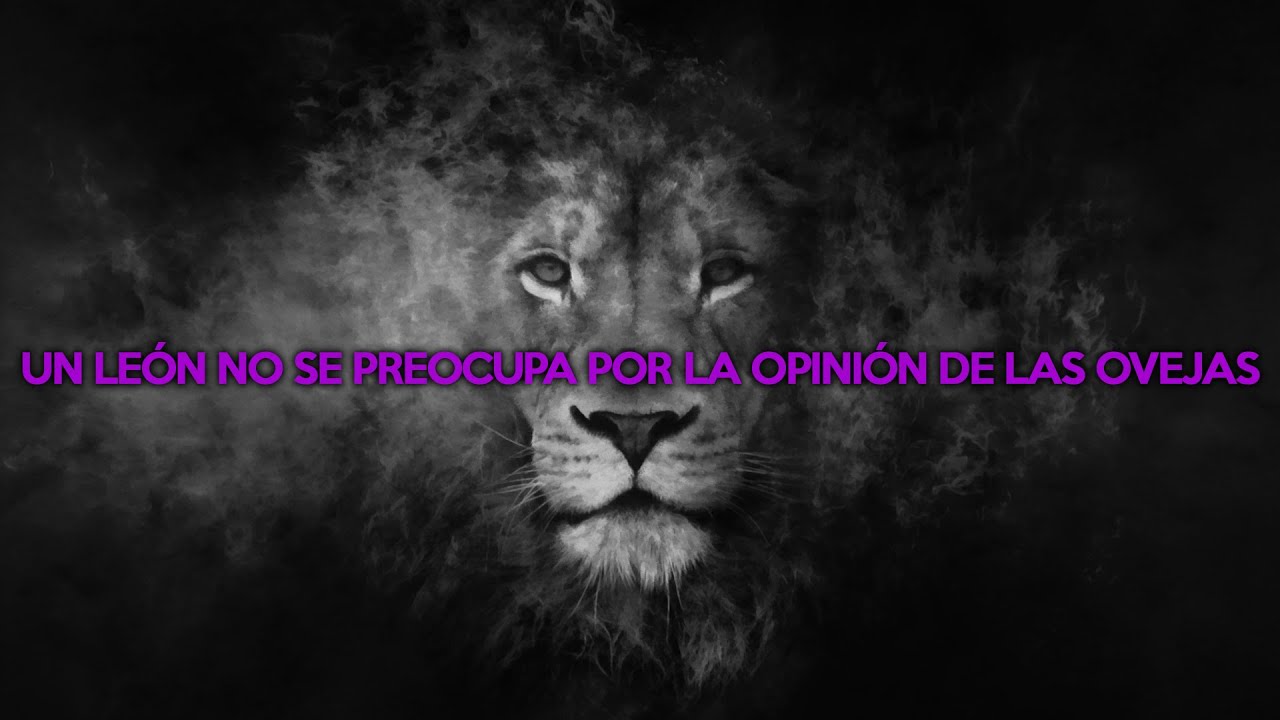 frases de leonas fuertes