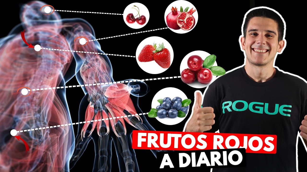 infusión frutas del bosque propiedades