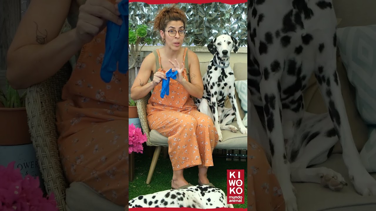 kiwoko las terrazas