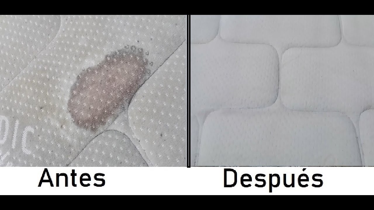limpiar mancha sangre colchon