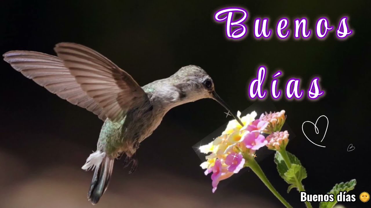 mensajes de buenos días espectaculares