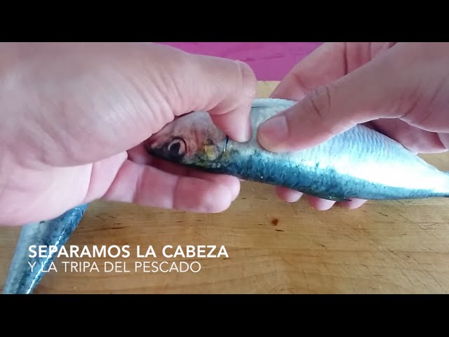 sardinas a la plancha se limpian
