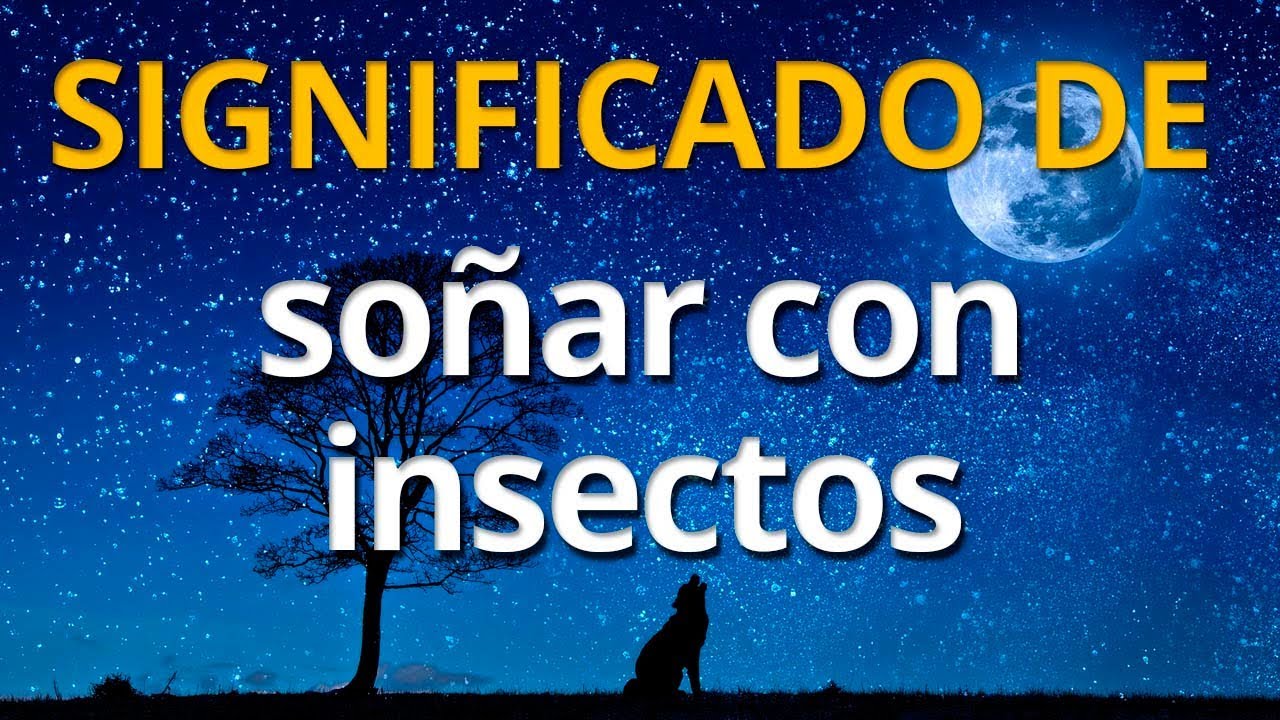 sonar con insectos
