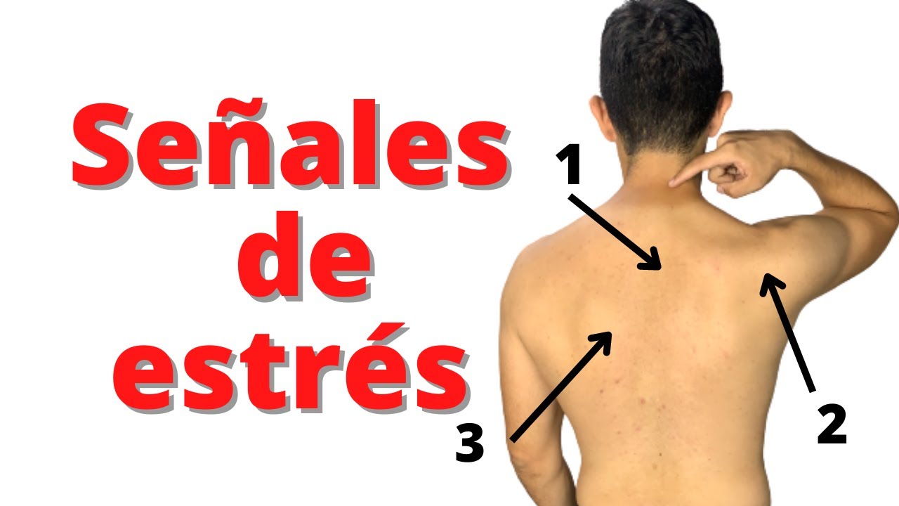 bulto por estres