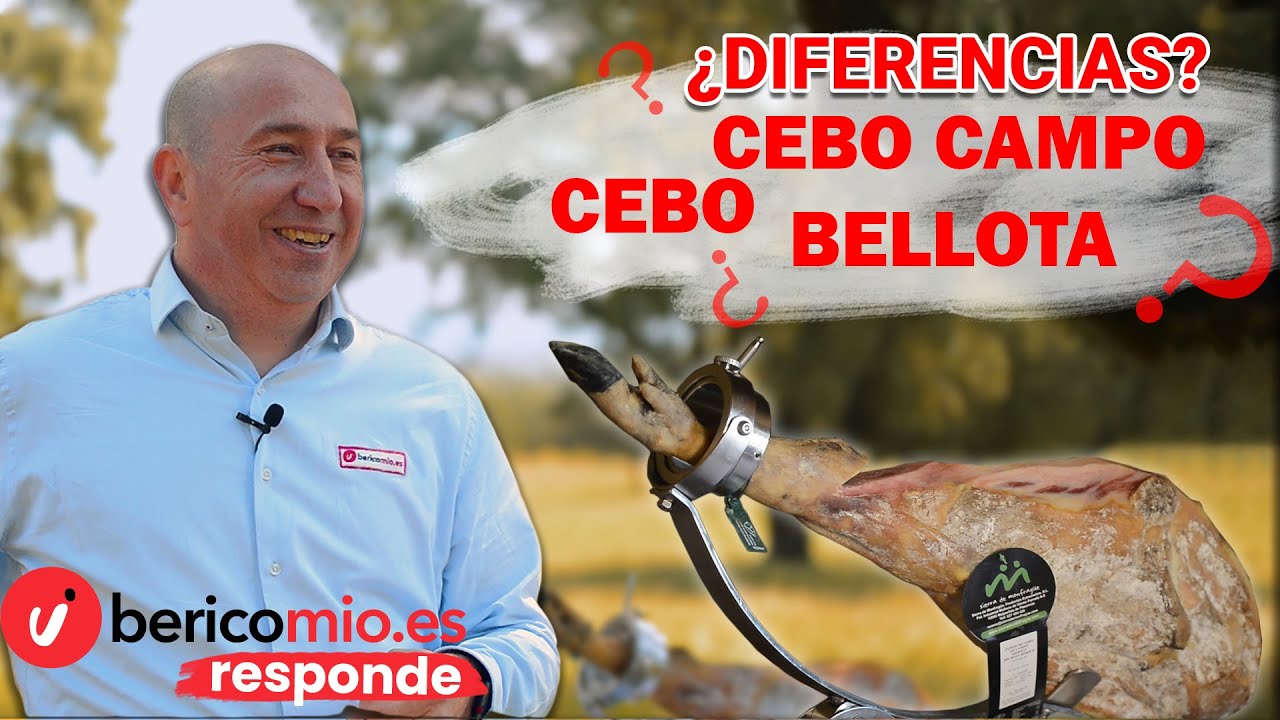 diferencia jamon de cebo y bellota