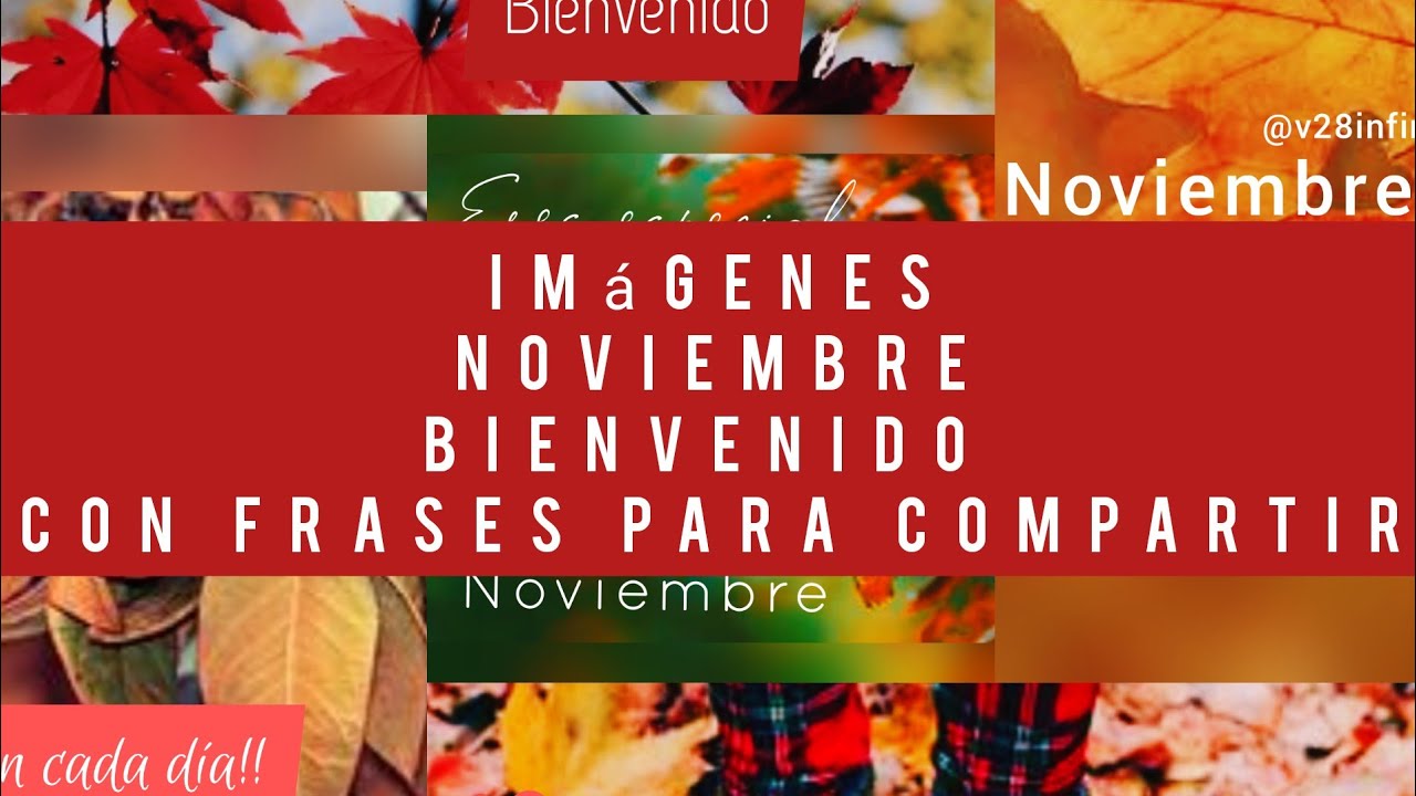 frases sobre noviembre