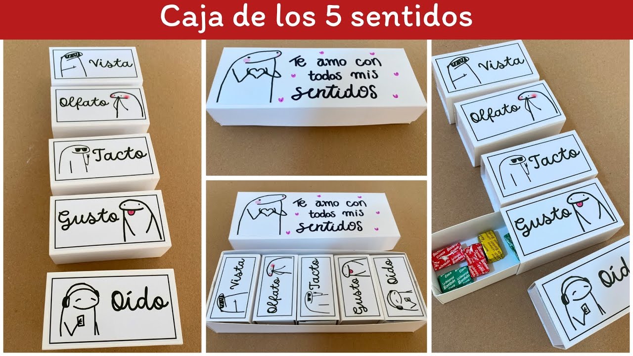 la caja de los cinco sentidos