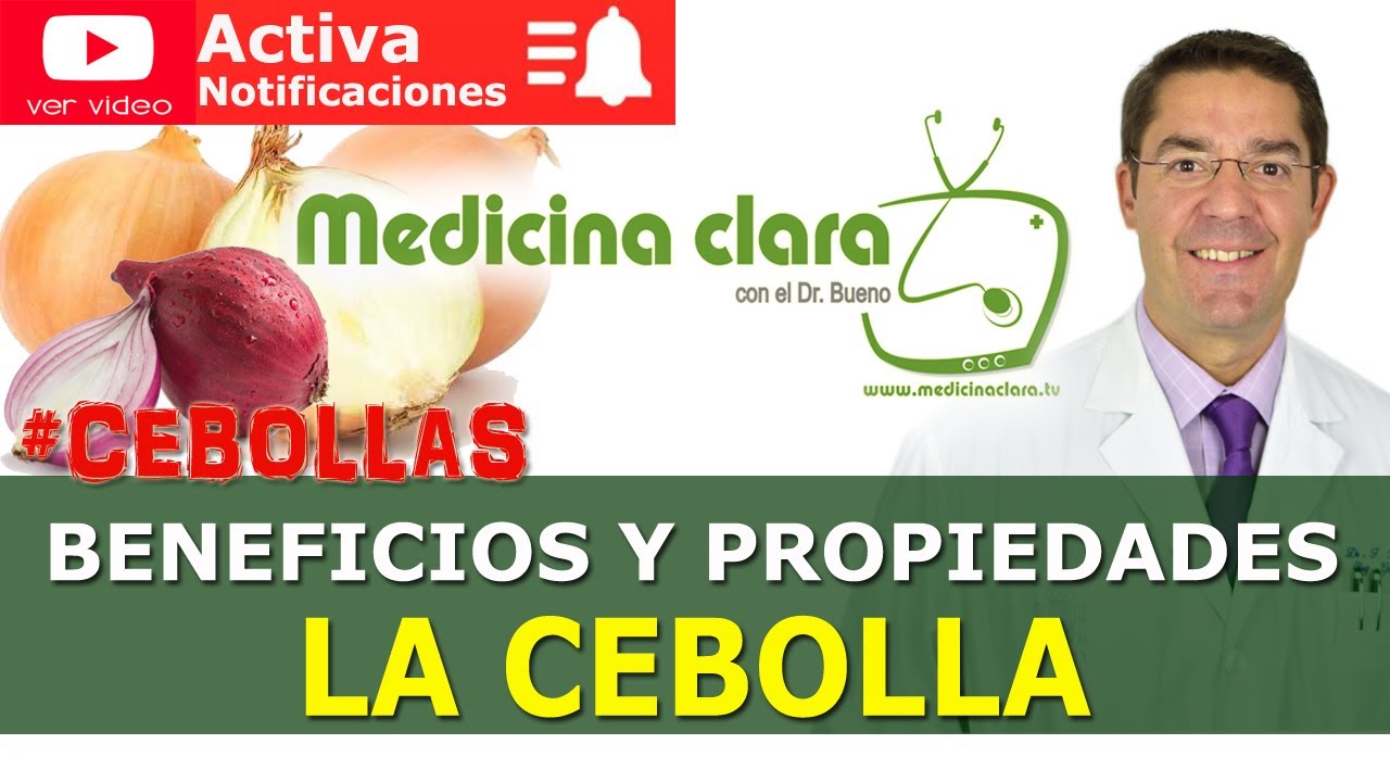 la cebolla engorda por la noche