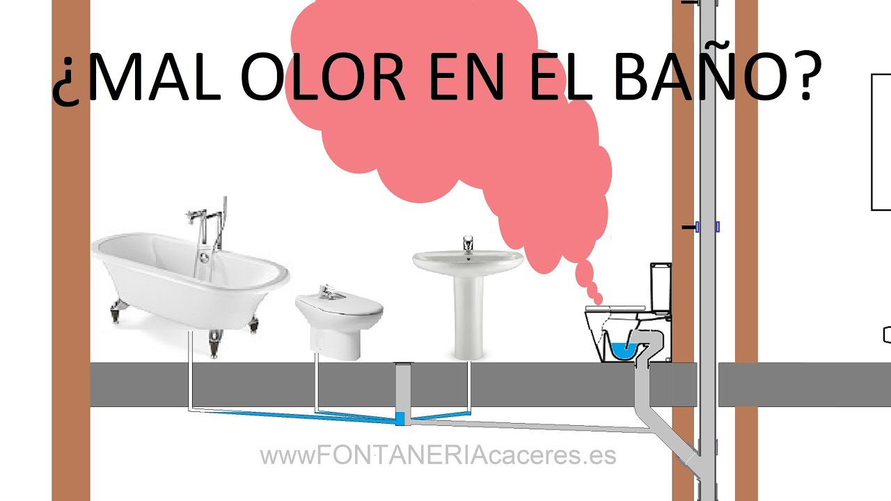 mal olor baño sin bote sifónico